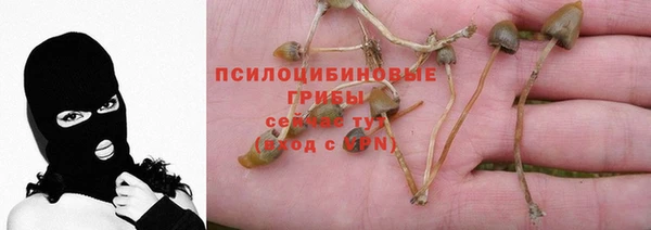 марихуана Абаза