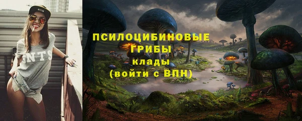 крисы Абинск