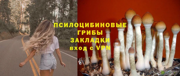 марихуана Абаза