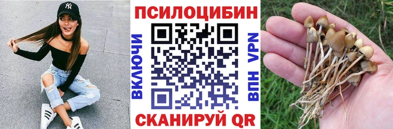 Галлюциногенные грибы Psilocybine cubensis  где продают наркотики  ОМГ ОМГ ссылки  Горбатов 